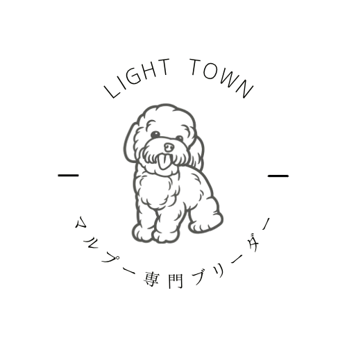 LIGHT TOWN